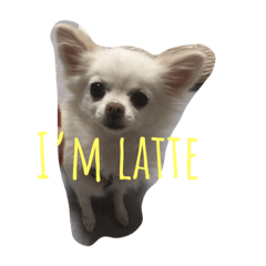 [LINEスタンプ] latte stamp ♡