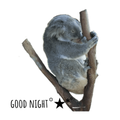 [LINEスタンプ] Australia pictures