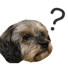 [LINEスタンプ] はちくんすたんぷB
