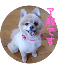 [LINEスタンプ] ふたりのいぬたち