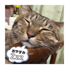 [LINEスタンプ] ゆかーしーすたんぷ