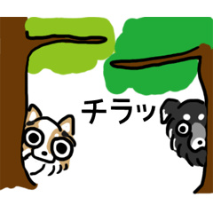 [LINEスタンプ] チコとバリ