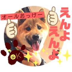 岡山弁 柴犬スタンプ´•ᴥ•`