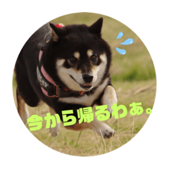 [LINEスタンプ] 小梅すたんぷ