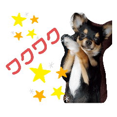 [LINEスタンプ] ケンとロン