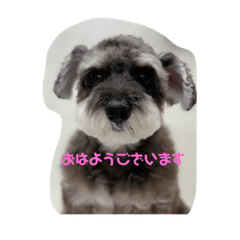 [LINEスタンプ] ラブちゃん♡