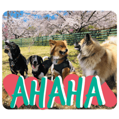 [LINEスタンプ] くるみ♡ナッツ♡お友達♡