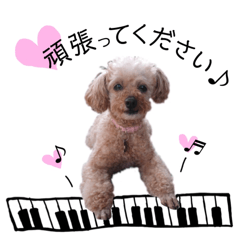 [LINEスタンプ] アプリ 生活