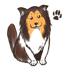 [LINEスタンプ] シェルティー犬のスタンプの画像（メイン）
