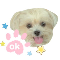 [LINEスタンプ] pet3