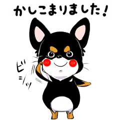 [LINEスタンプ] 黒チワワの毎日