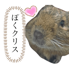 [LINEスタンプ] ねずみの仲間たち