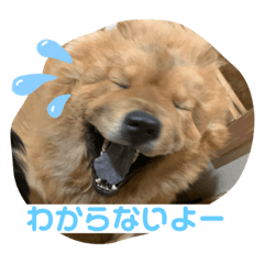 [LINEスタンプ] バニチャウスタンプ6