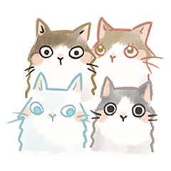 [LINEスタンプ] ノル猫たちの楽しい毎日