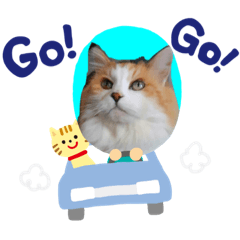 [LINEスタンプ] きなこがゆく