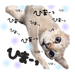 [LINEスタンプ] えーたんスタンプ2
