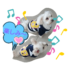 [LINEスタンプ] チワプー、マルプー5