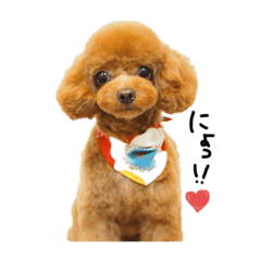 [LINEスタンプ] 田中の可愛い暴言