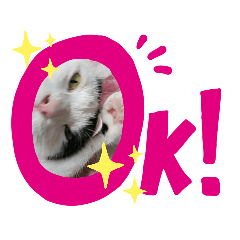 [LINEスタンプ] 正宗の日常