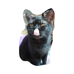 [LINEスタンプ] かのんの動物たち