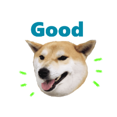 [LINEスタンプ] じんちゃんちのななちゃん。2