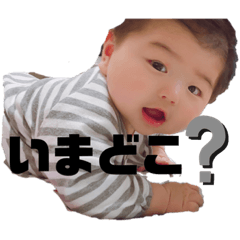 [LINEスタンプ] よく使う★くうしん