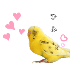 [LINEスタンプ] シマ鳥さんちの鳥等2