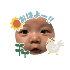 [LINEスタンプ] 赤ちゃんスタンプ Hikaru