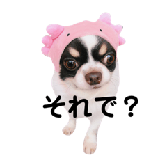 [LINEスタンプ] パート2！ウーパーてんちゃんスタンプ