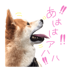 [LINEスタンプ] 宇佐美家の愛犬♡2