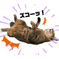 [LINEスタンプ] 我が家のボンとオジョー
