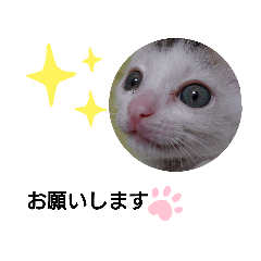 [LINEスタンプ] Mr.nori スタンプ