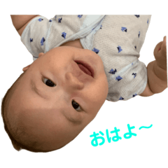 [LINEスタンプ] あざといおりん