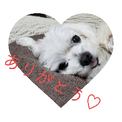 [LINEスタンプ] ユキチーズ2
