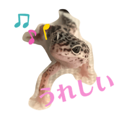 [LINEスタンプ] レオパードゲッコーの気持ちスタンプ