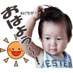 [LINEスタンプ] ゆうすけと愉快な家族
