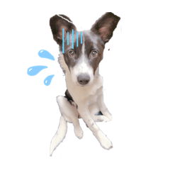 [LINEスタンプ] しちさん！くるみ！