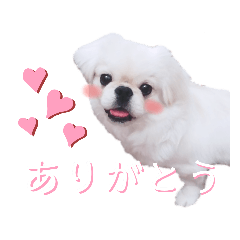 [LINEスタンプ] ダンのスタンプ