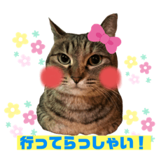 [LINEスタンプ] サスケとごまめ③