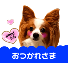 [LINEスタンプ] ベリーの日常②