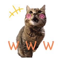 [LINEスタンプ] miki_20200127164849