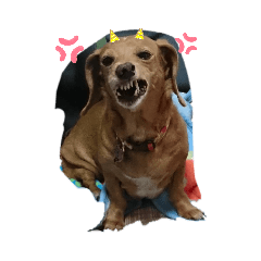 [LINEスタンプ] わたしのふたつの宝物2