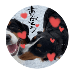 [LINEスタンプ] ゆずれもん姉妹の日常