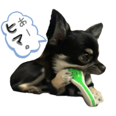 [LINEスタンプ] ケケ好きの人のためのスタンプ