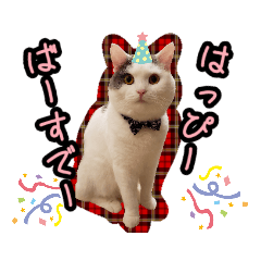[LINEスタンプ] ごままる君の日常 その3