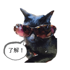 [LINEスタンプ] ねこくんだよ3！