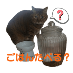 [LINEスタンプ] ごまみとたらみ、たまにテディみのスタンプ