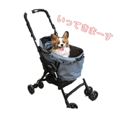 [LINEスタンプ] パピヨン日常