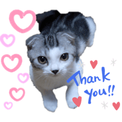 [LINEスタンプ] れお♡のあ♡むぎ①