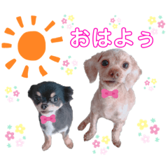 [LINEスタンプ] dogdogthree